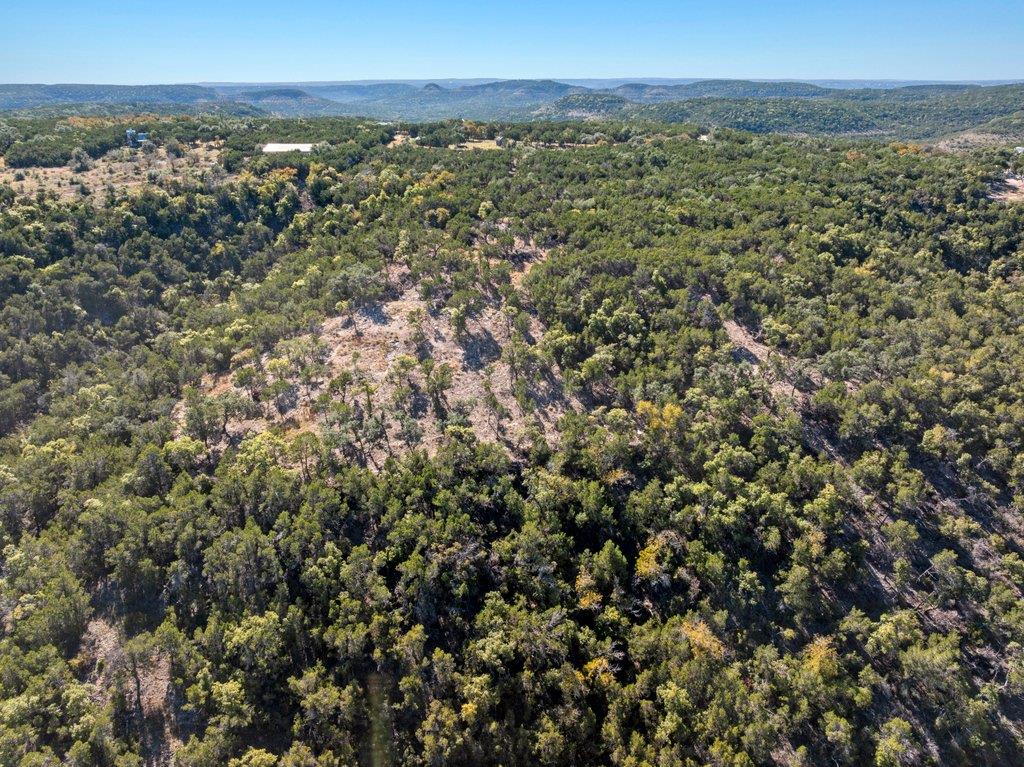 645 Ghost Dancer # B, Fischer, TX 78623