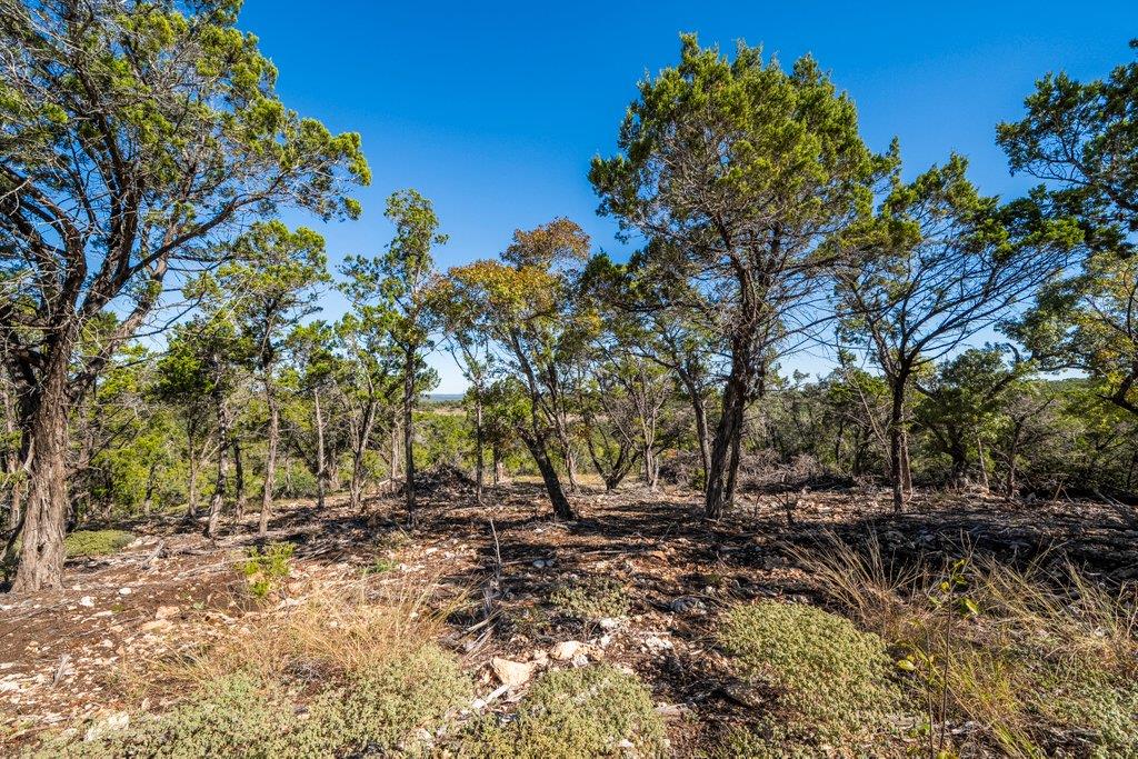 645 Ghost Dancer # B, Fischer, TX 78623