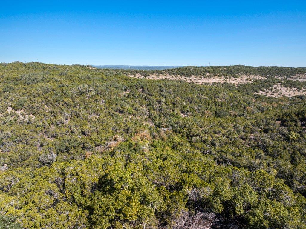 645 Ghost Dancer # B, Fischer, TX 78623