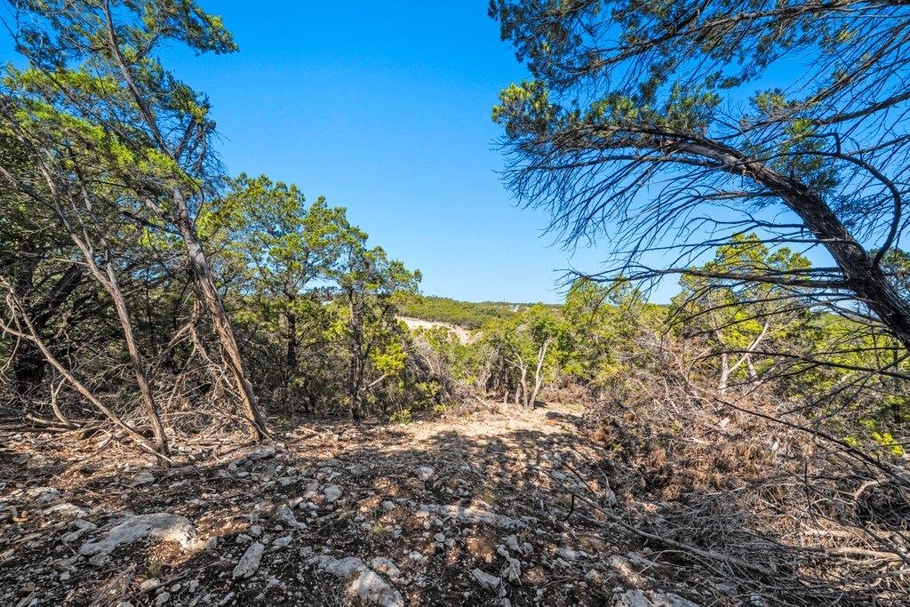 645 Ghost Dancer # B, Fischer, TX 78623