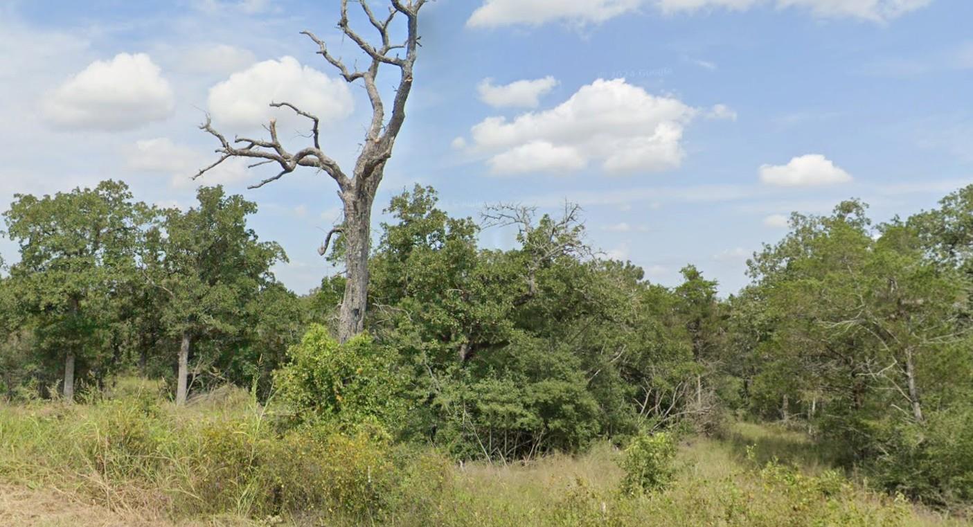 TBA Thousand Oaks Dr, Cedar Creek, TX 78612