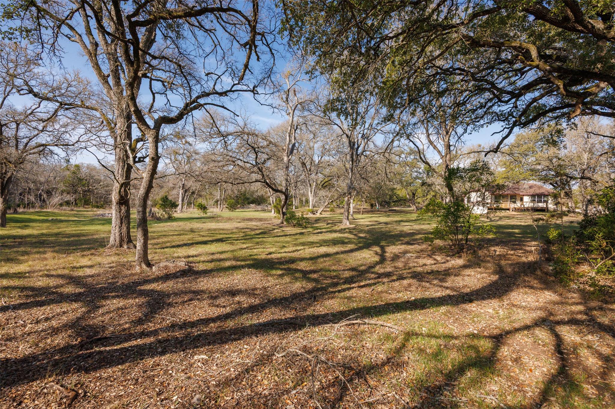 16023 Arbor Trl, Buda, TX 78610
