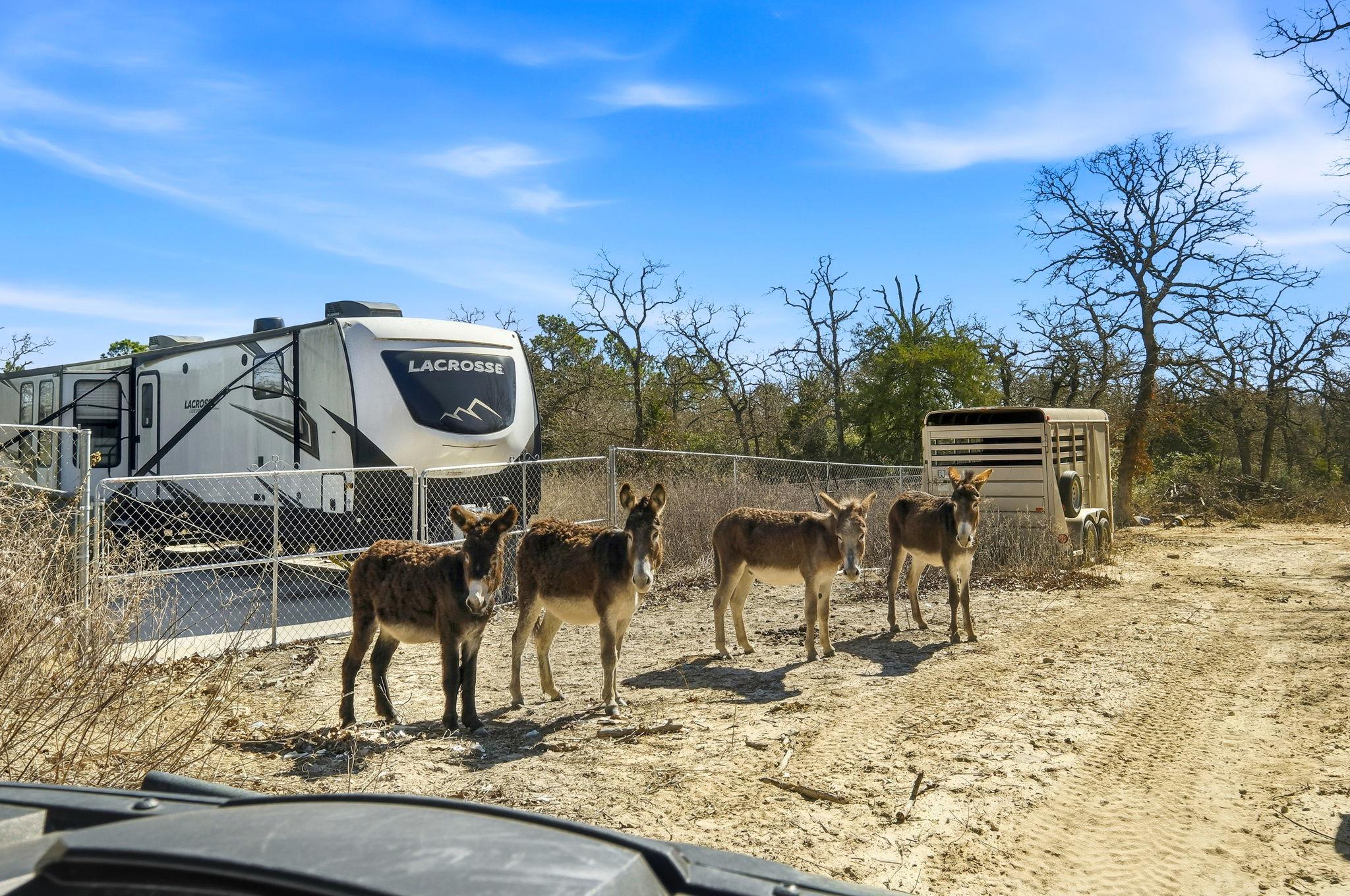 1310 Perry Ln, Thorndale, TX 76577