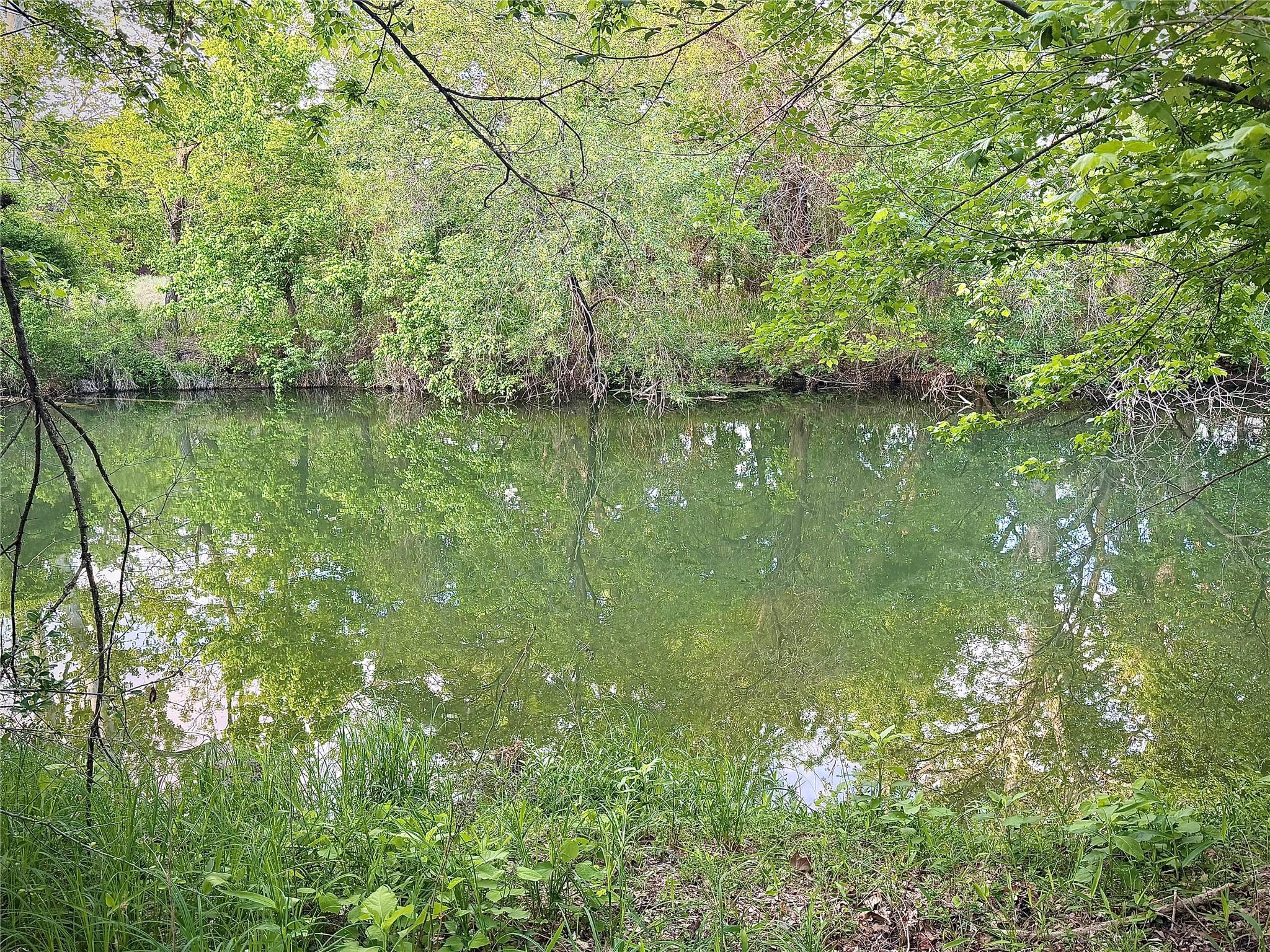 113 Sandpiper Cv, Georgetown, TX 78633