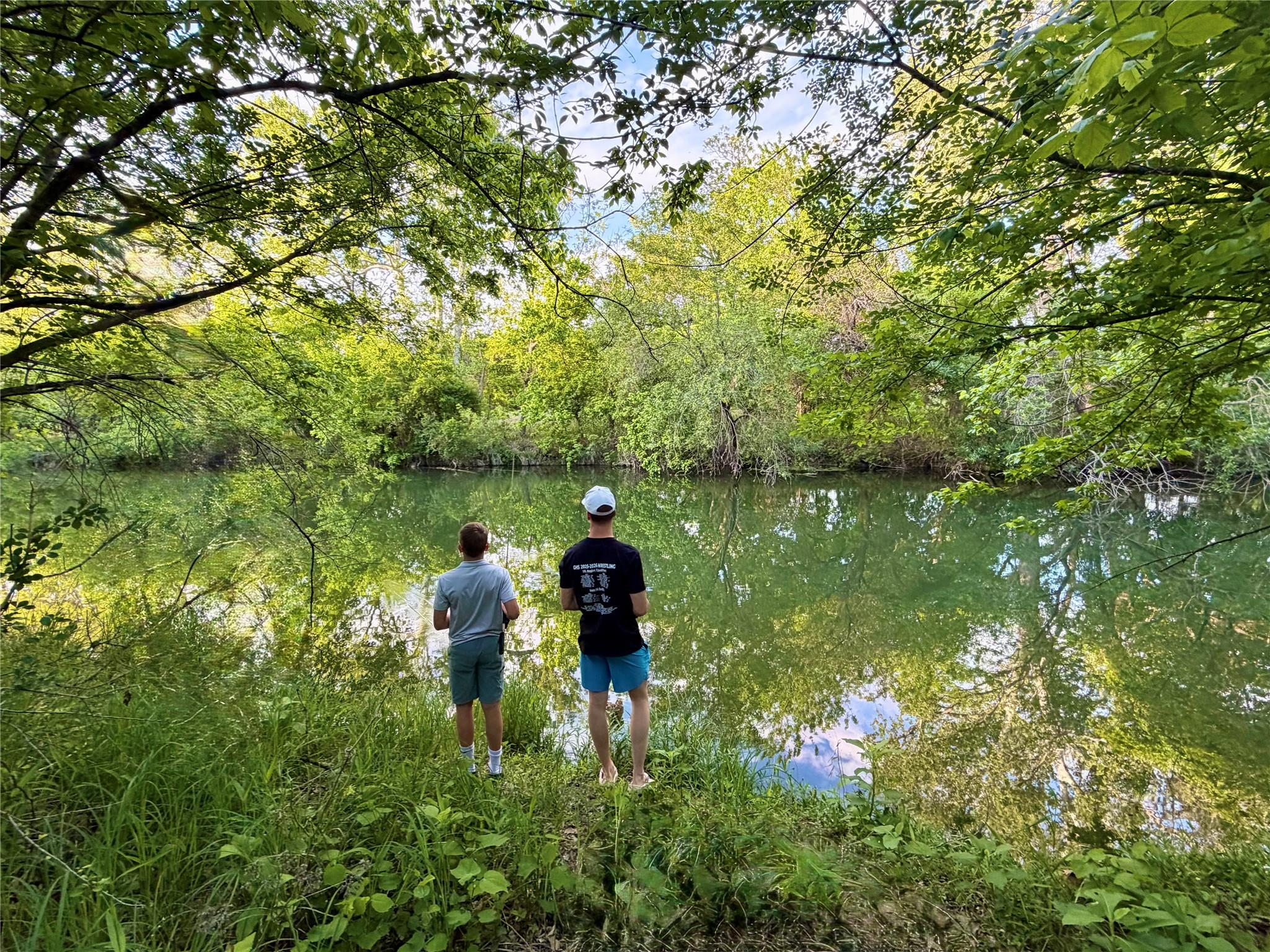 113 Sandpiper Cv, Georgetown, TX 78633