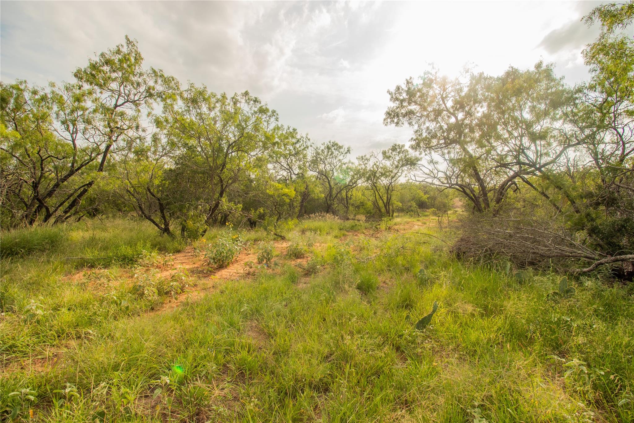 6562 Cross Rd, Seguin, TX 78155