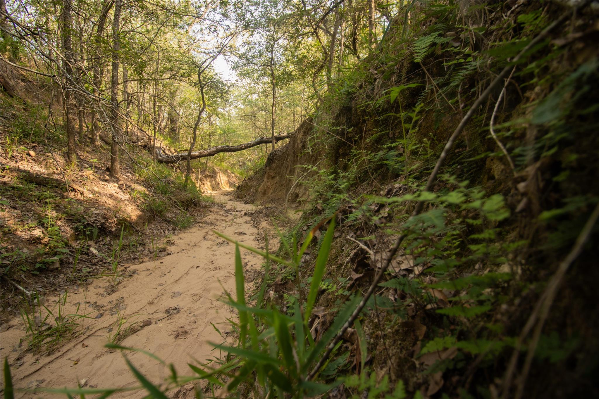 6562 Cross Rd, Seguin, TX 78155