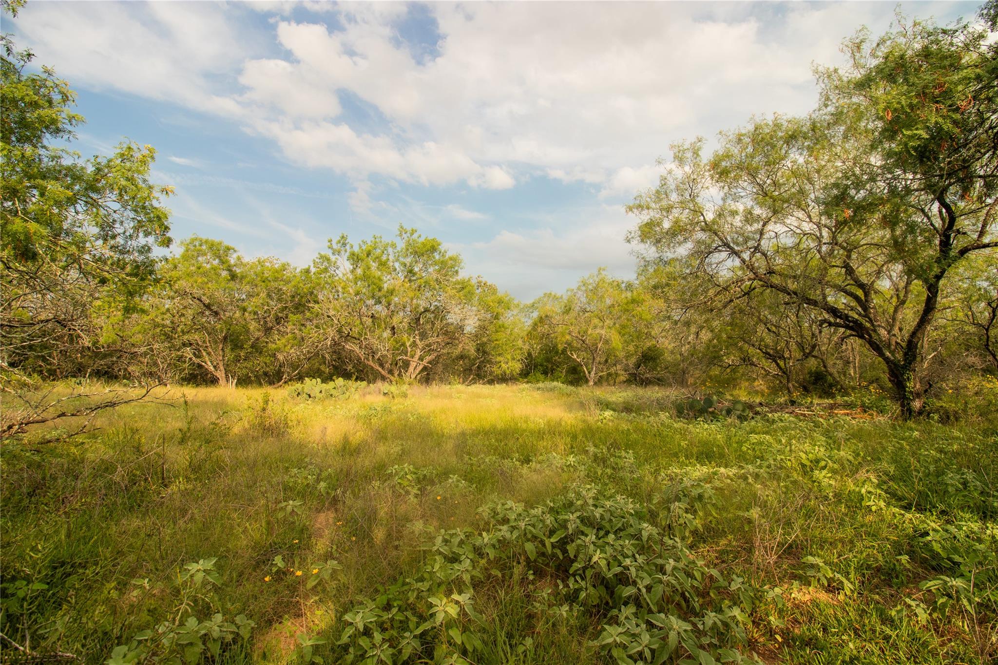 6562 Cross Rd, Seguin, TX 78155