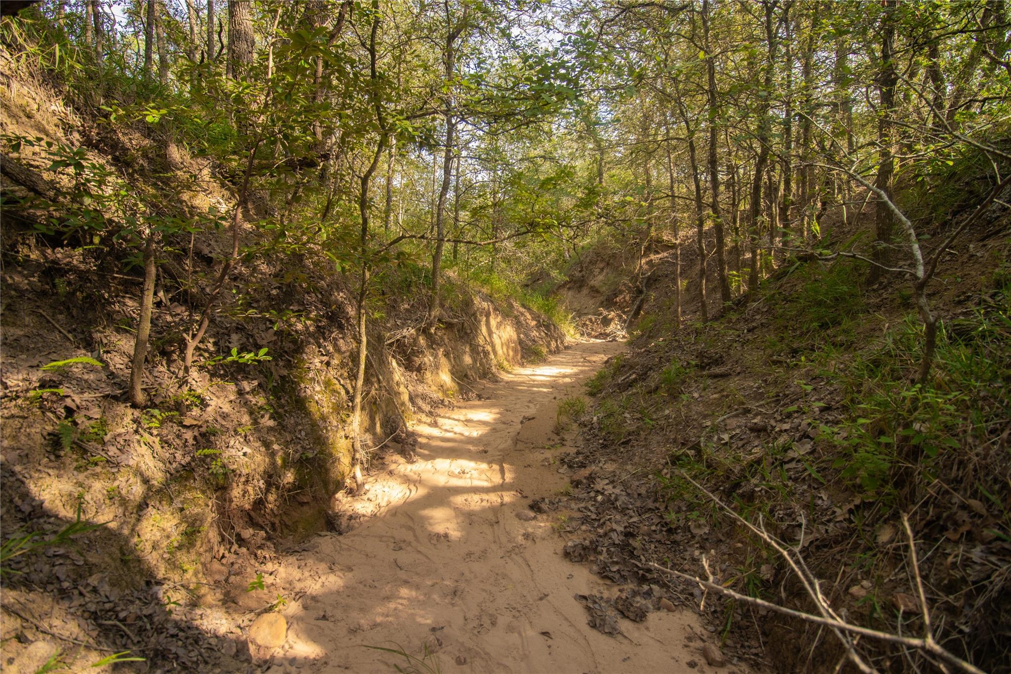 6562 Cross Rd, Seguin, TX 78155