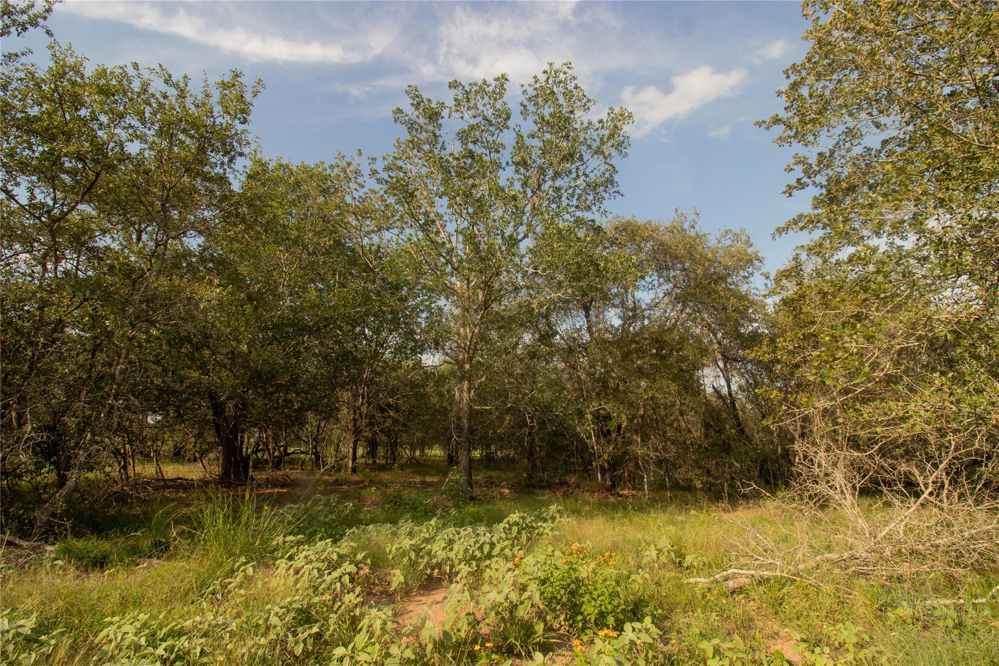 6562 Cross Rd, Seguin, TX 78155