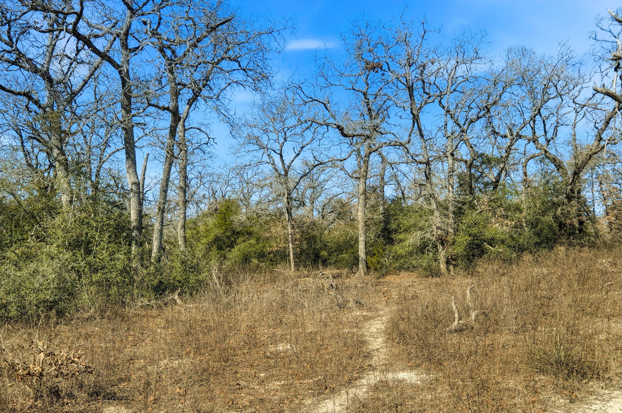 1310 Perry Ln, Thorndale, TX 76577