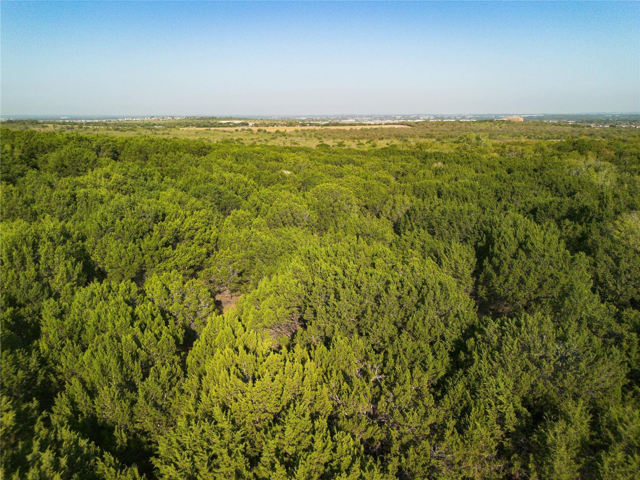 9604 Thaxton Rd, Austin, TX 78747