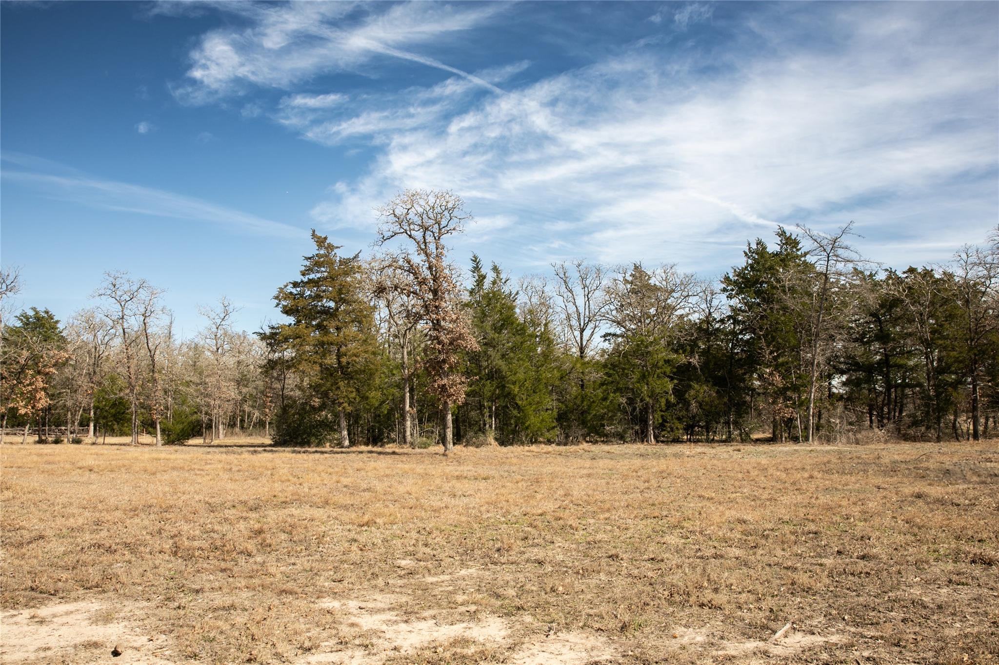 12899 Young Ln, Carmine, TX 78932