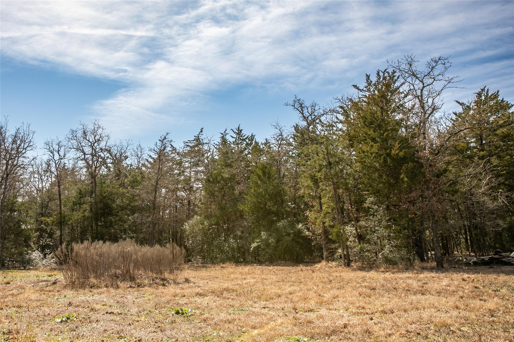 12899 Young Ln, Carmine, TX 78932