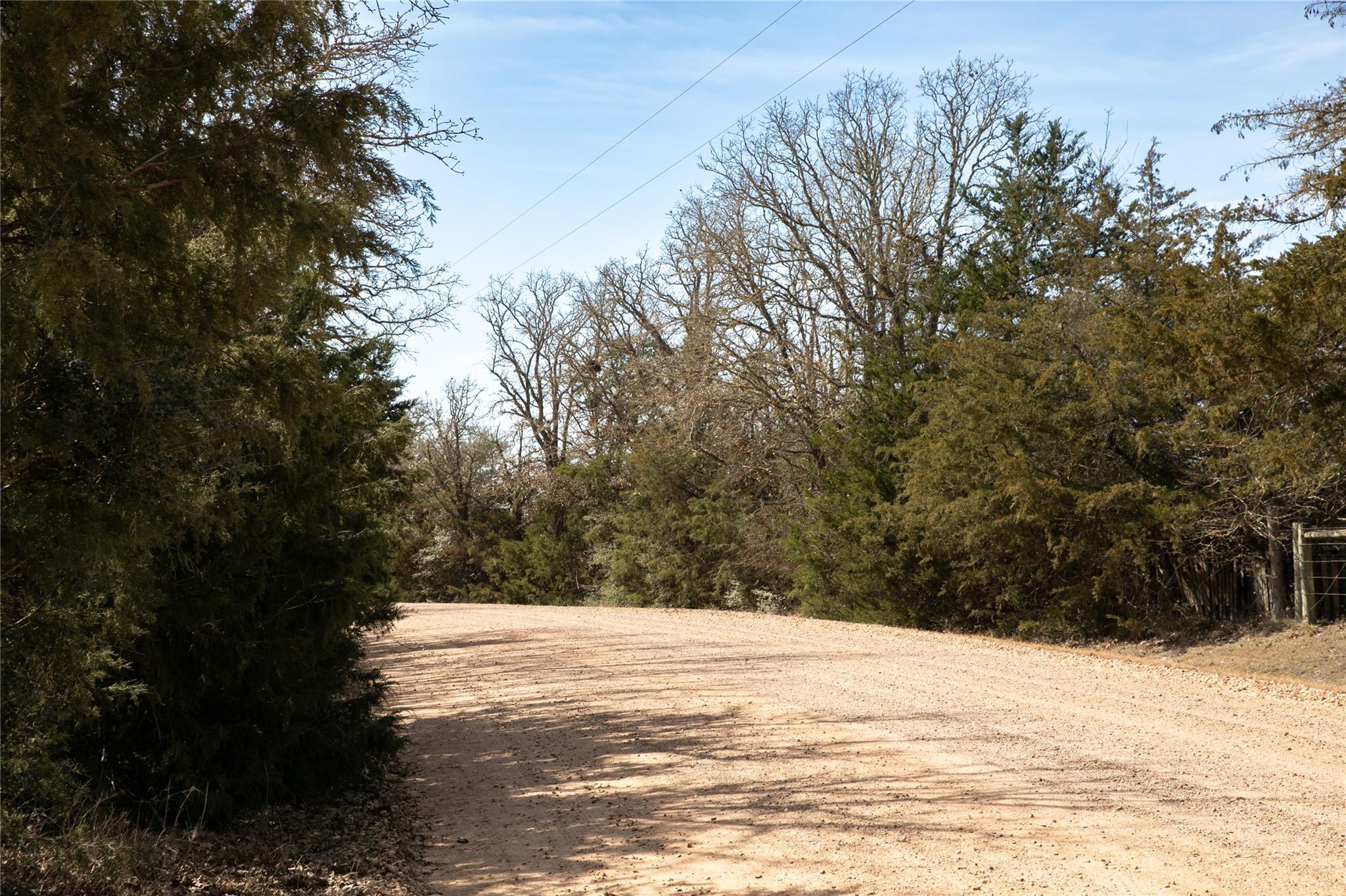 12899 Young Ln, Carmine, TX 78932