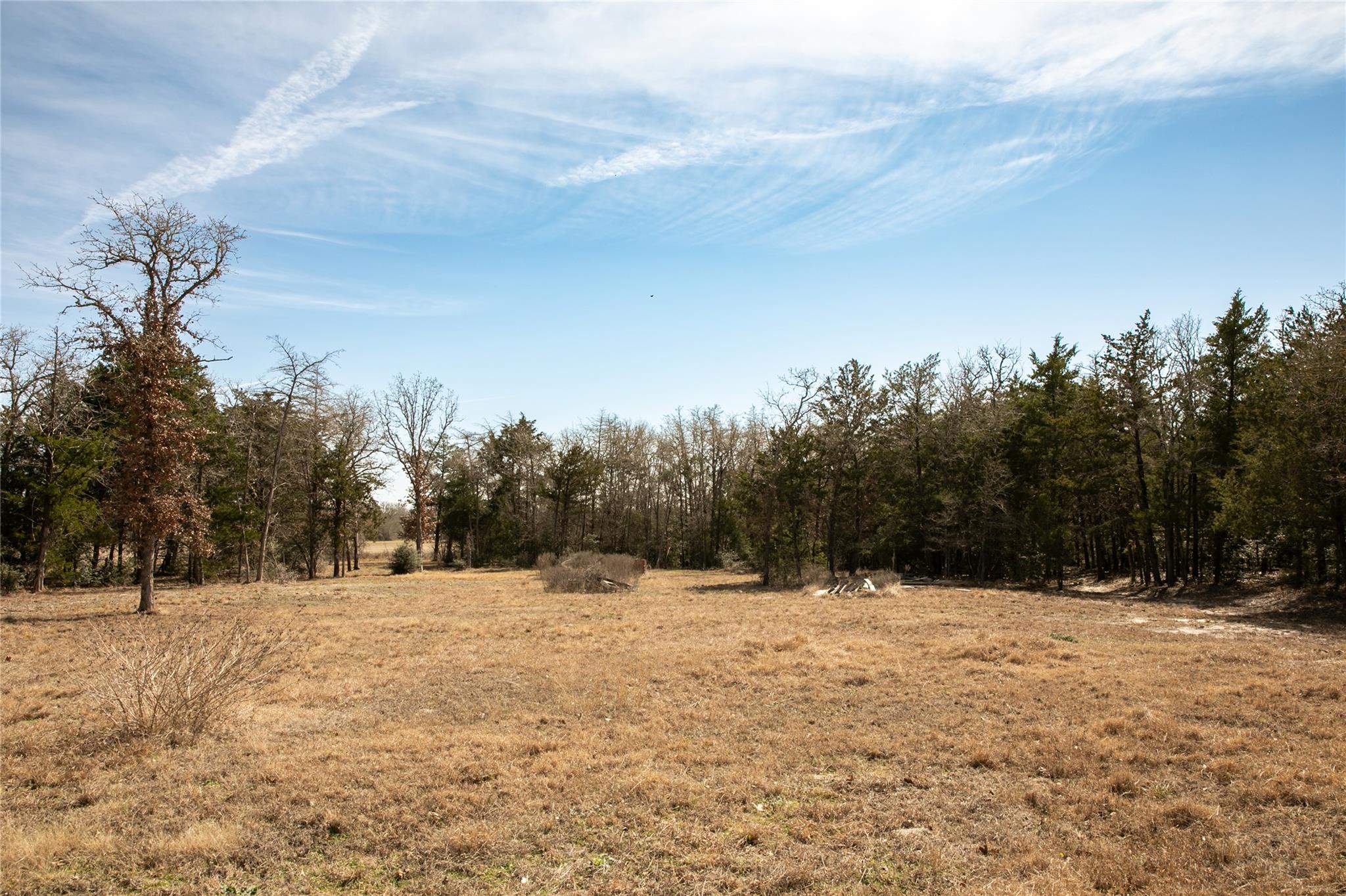 12899 Young Ln, Carmine, TX 78932