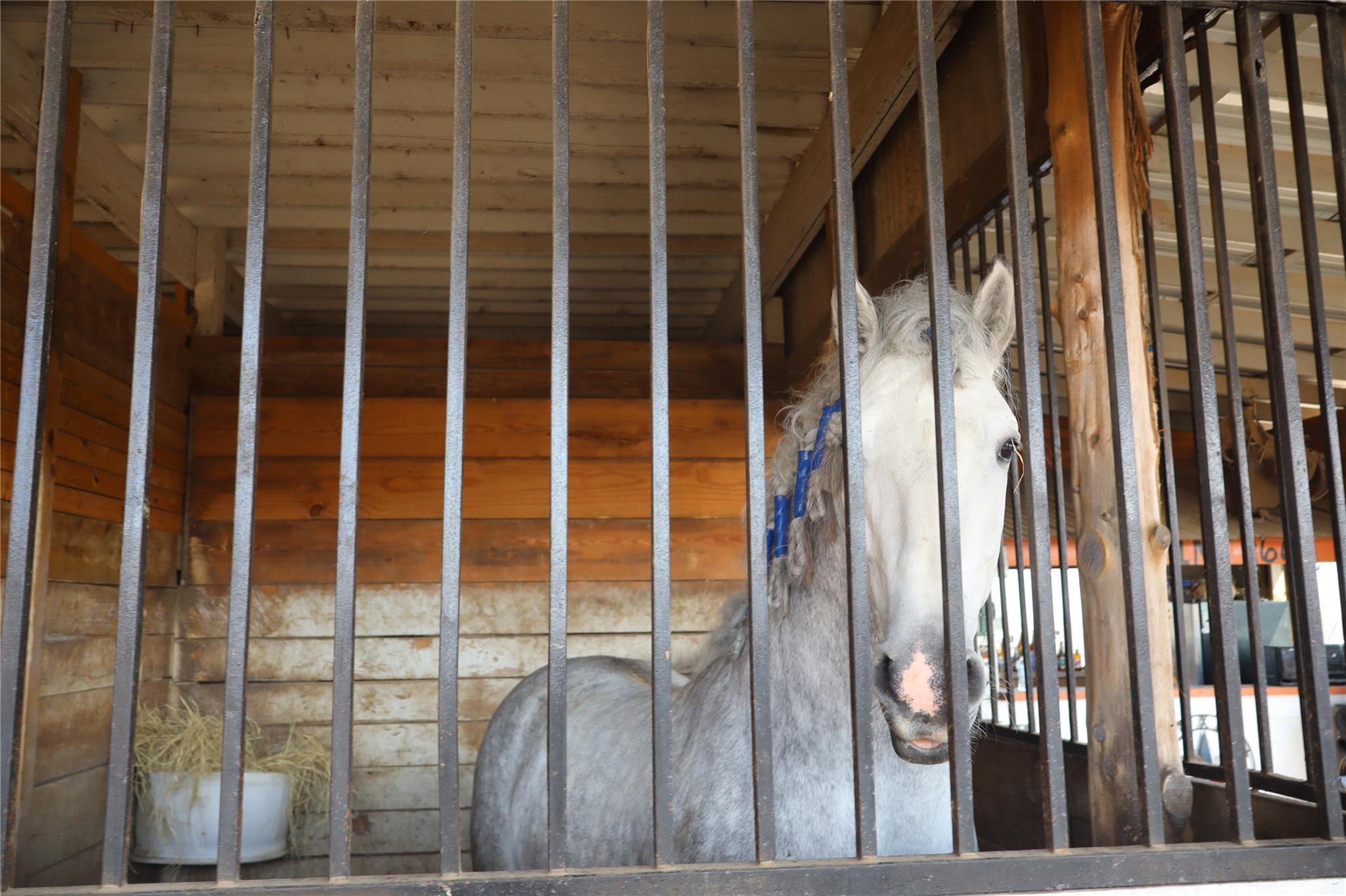 2690 County Road 466, Elgin, TX 78621