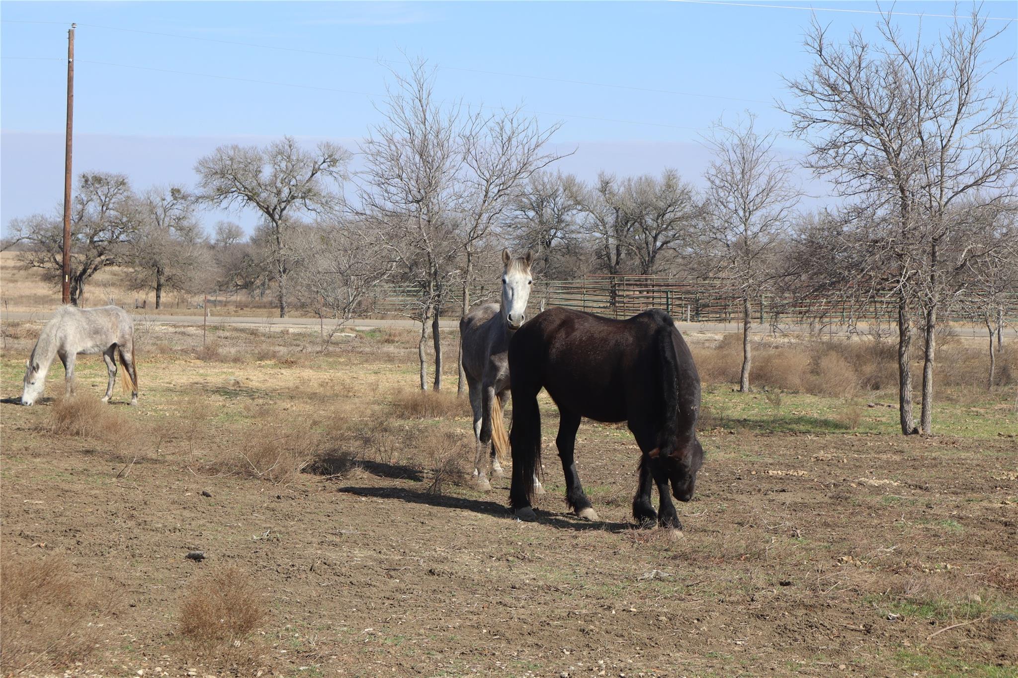 2690 County Road 466, Elgin, TX 78621