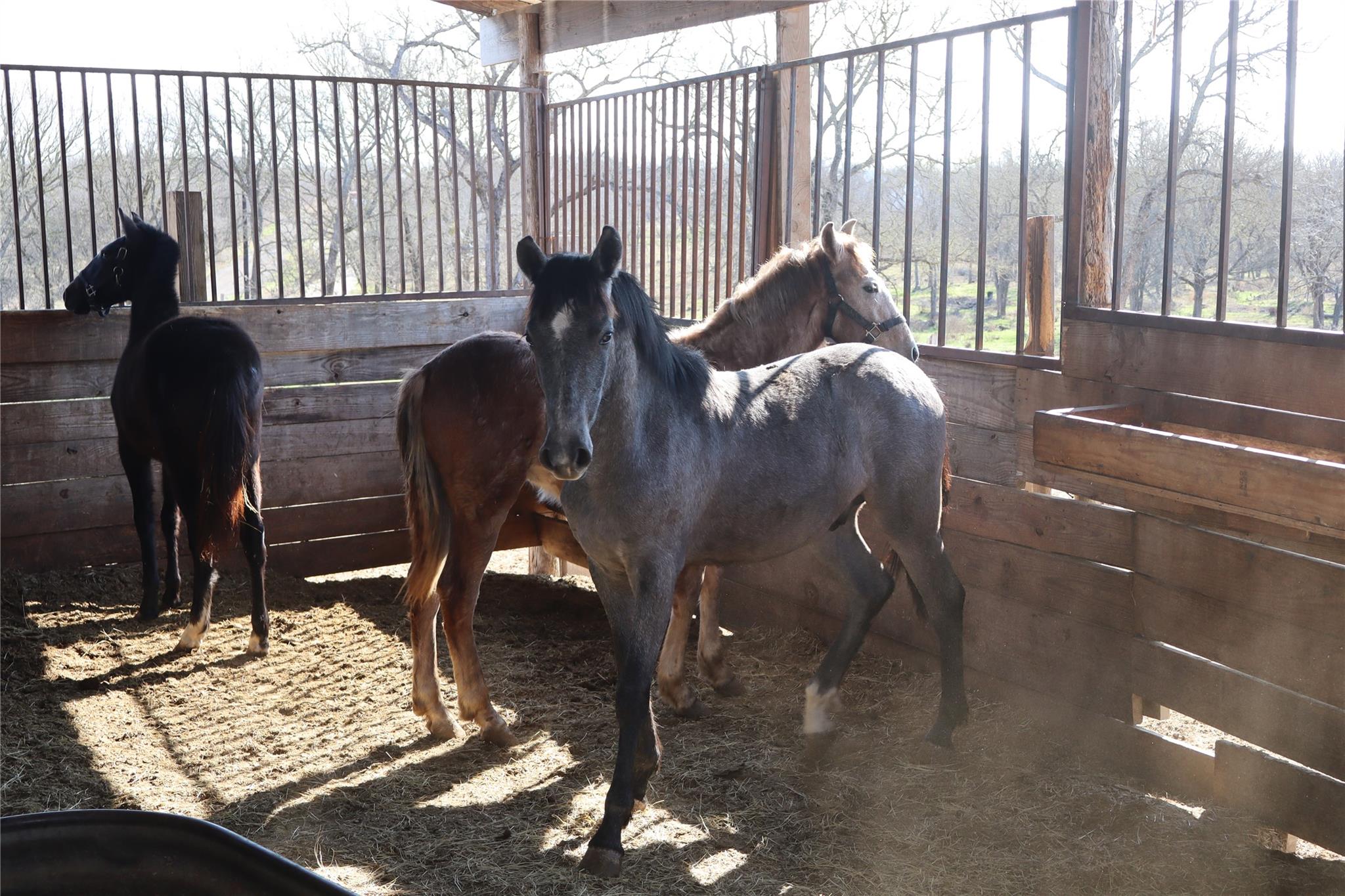 2690 County Road 466, Elgin, TX 78621