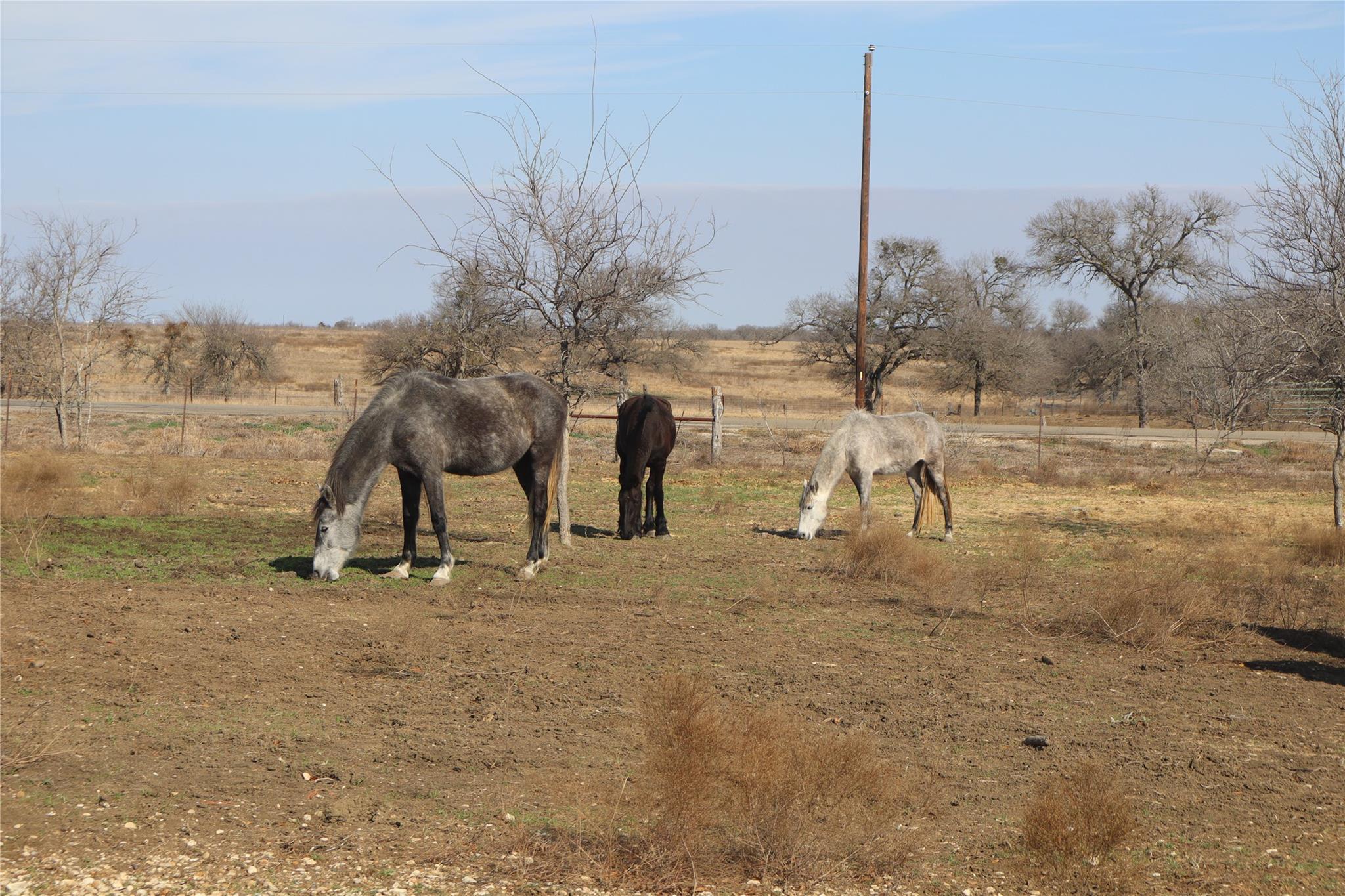 2690 County Road 466, Elgin, TX 78621