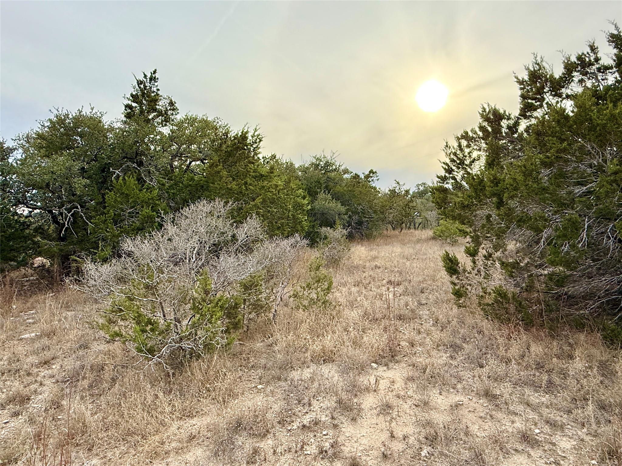 557 Abodar Trl, Spring Branch, TX 78070