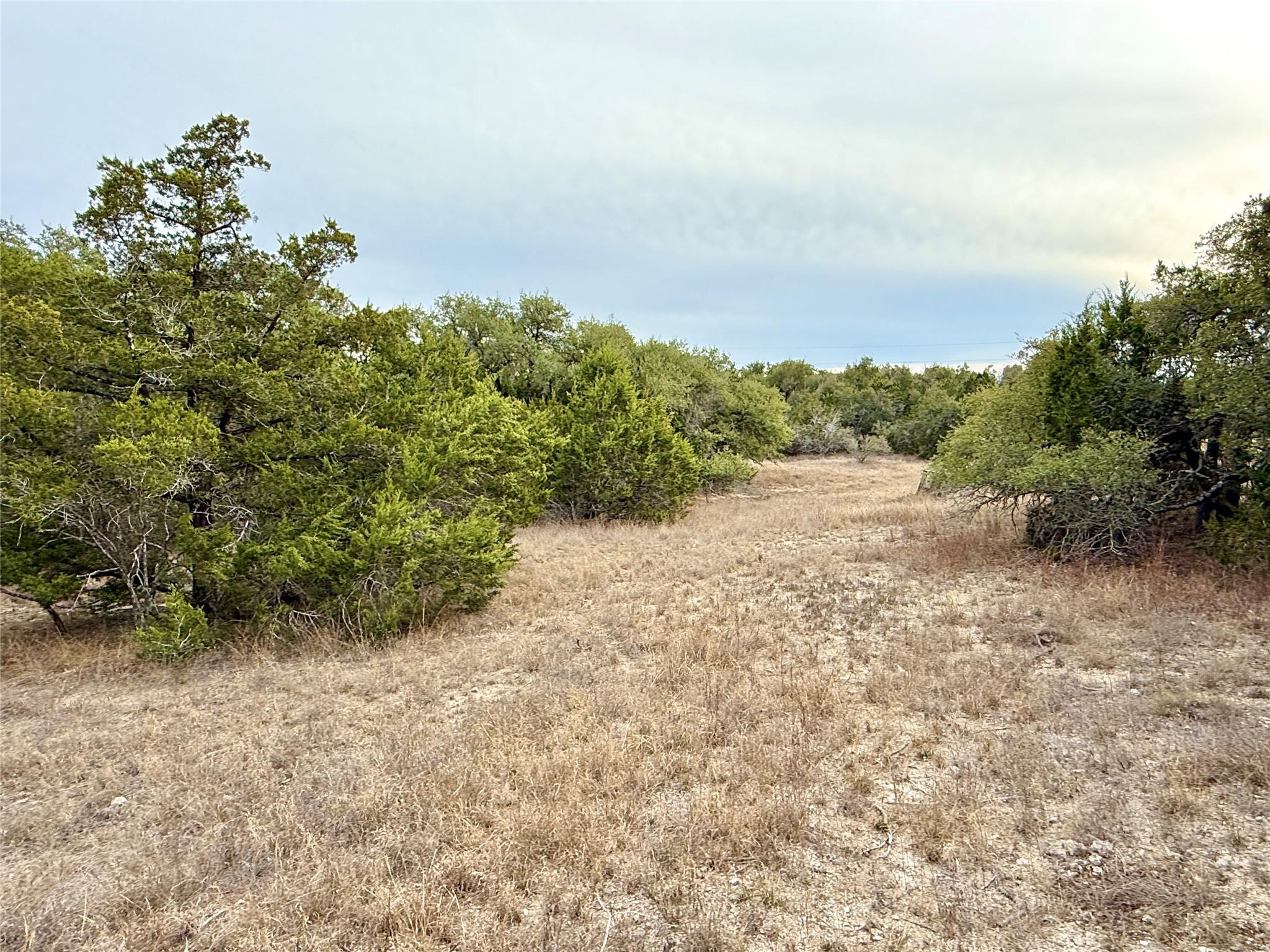 557 Abodar Trl, Spring Branch, TX 78070