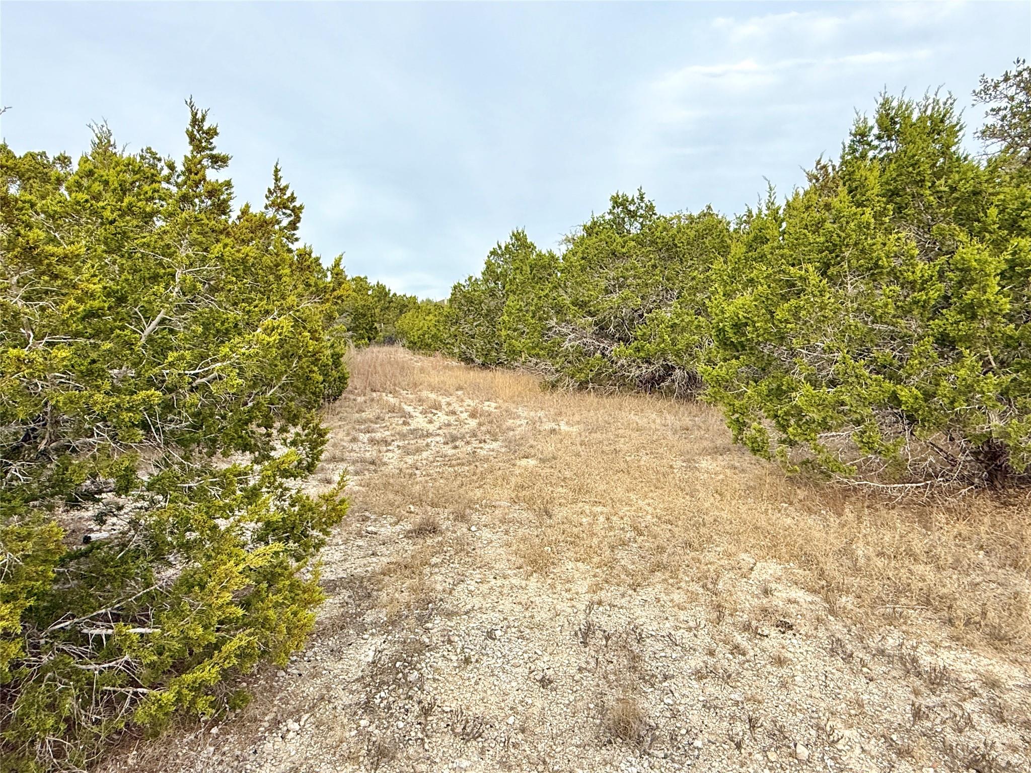 557 Abodar Trl, Spring Branch, TX 78070