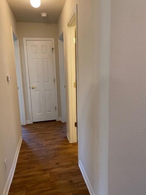 14301 Pebble Run Path, Manor, TX 78653