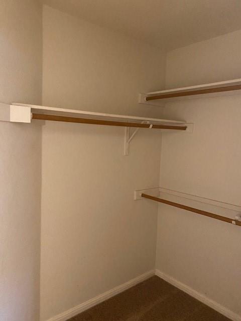 14301 Pebble Run Path, Manor, TX 78653