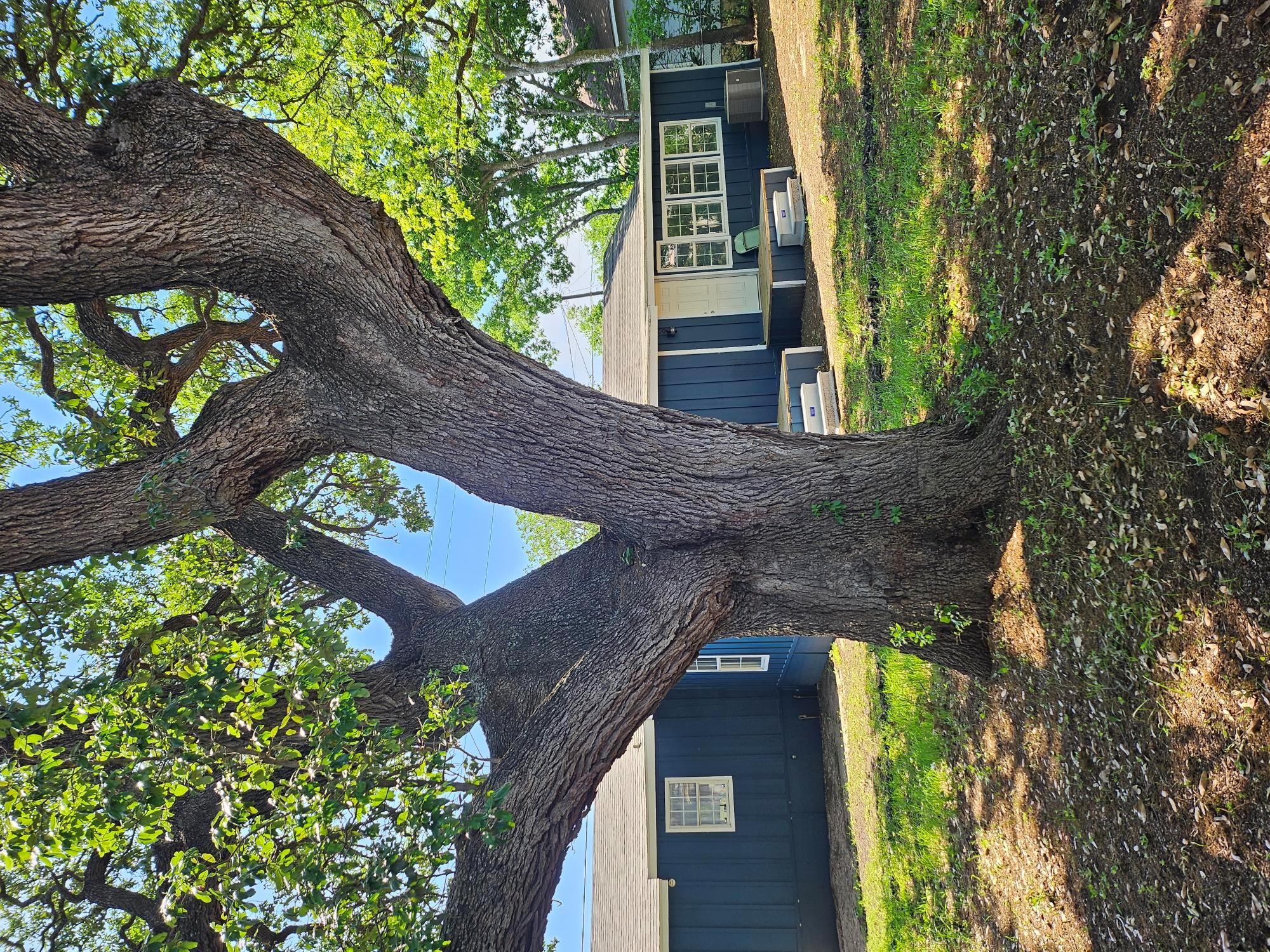 105 N Rhomberg St, Burnet, TX 78611