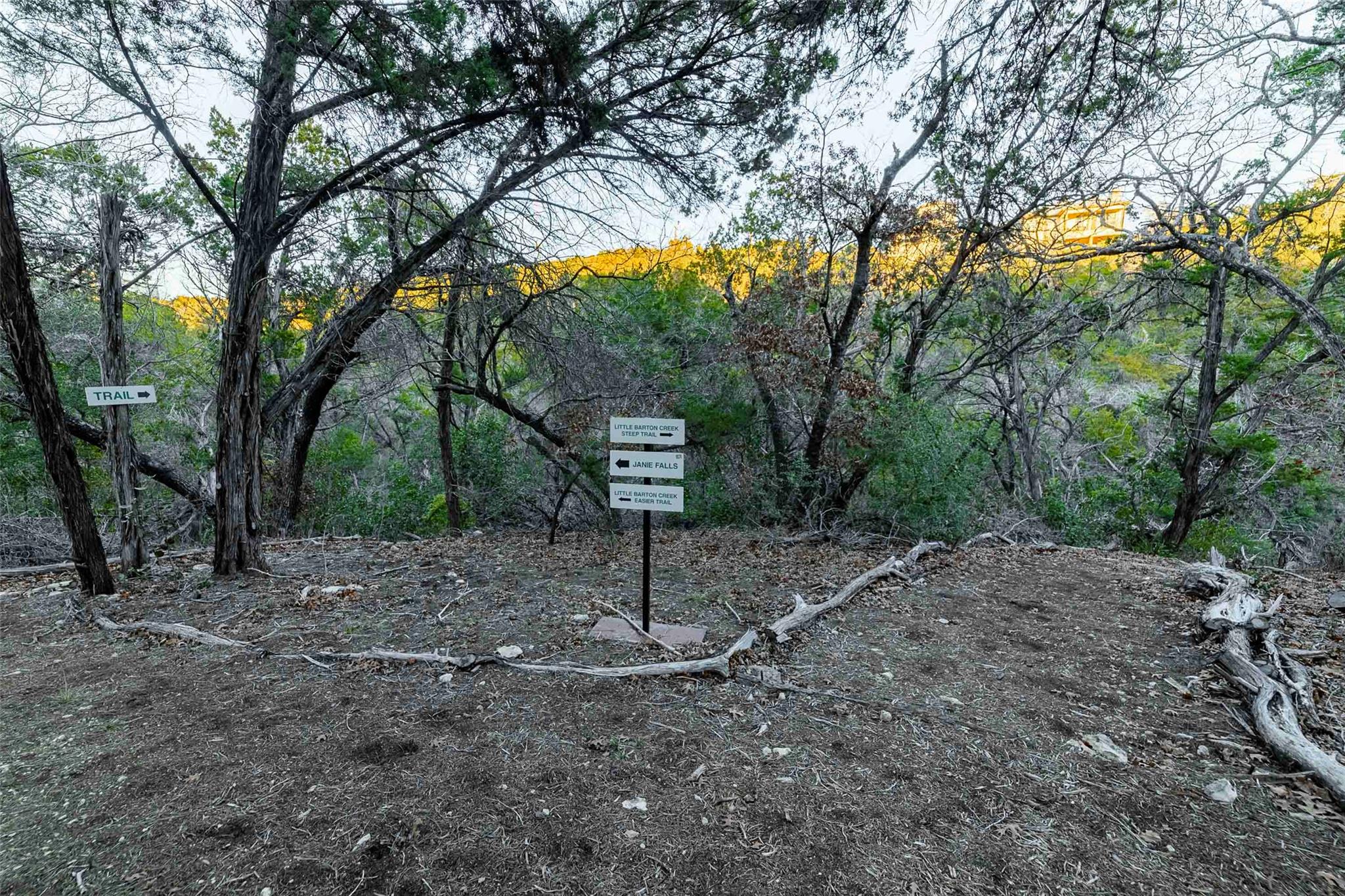 9201 SILVER PINE Cv, Austin, TX 78733