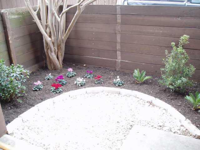 4409 Guadalupe St N # 3, Austin, TX 78751