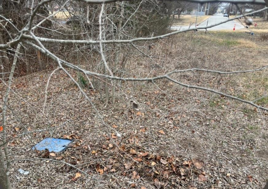 1201 Emile St, Bastrop, TX 78602