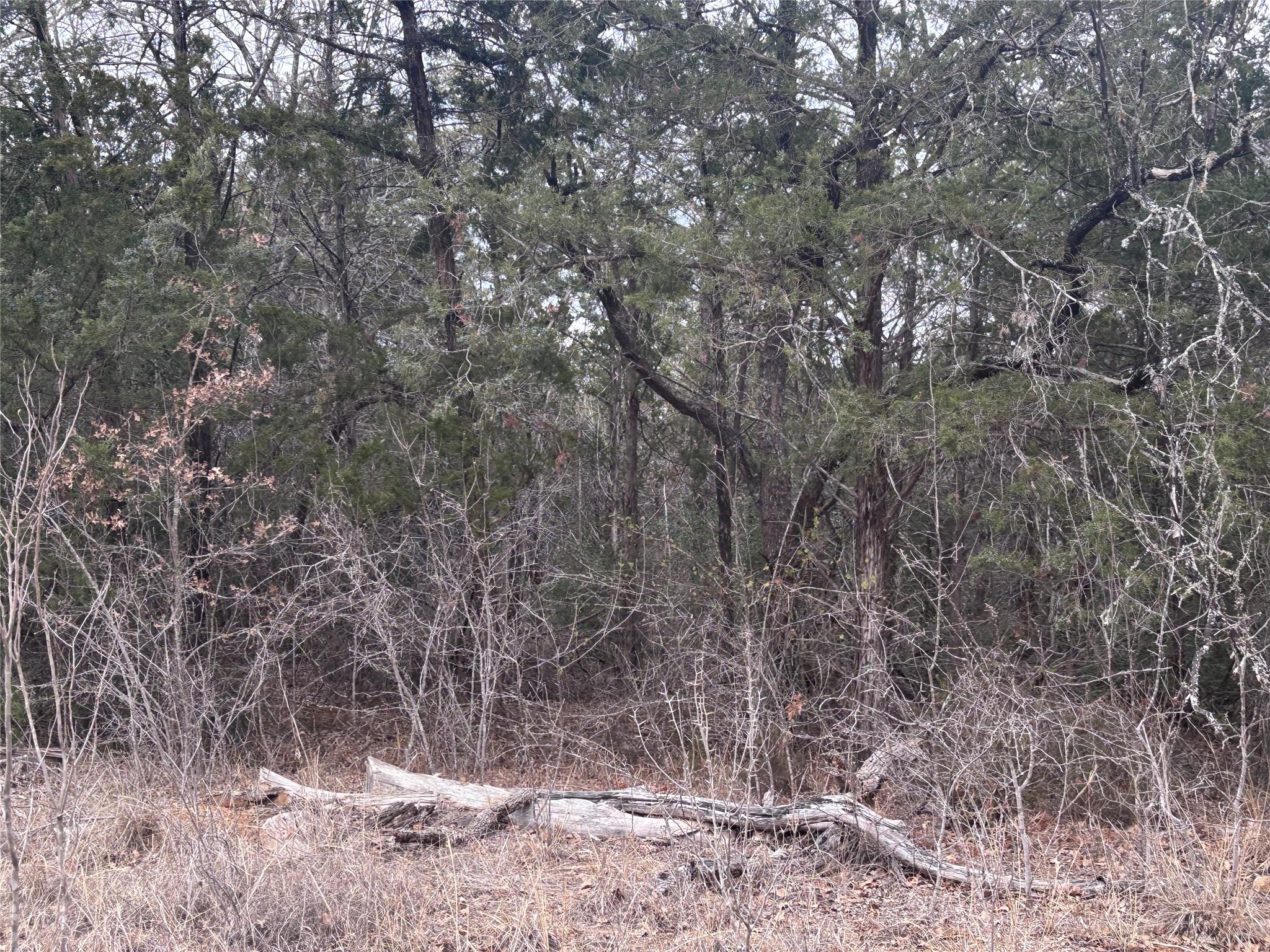 TBD Pearson Rd, Cedar Creek, TX 78616