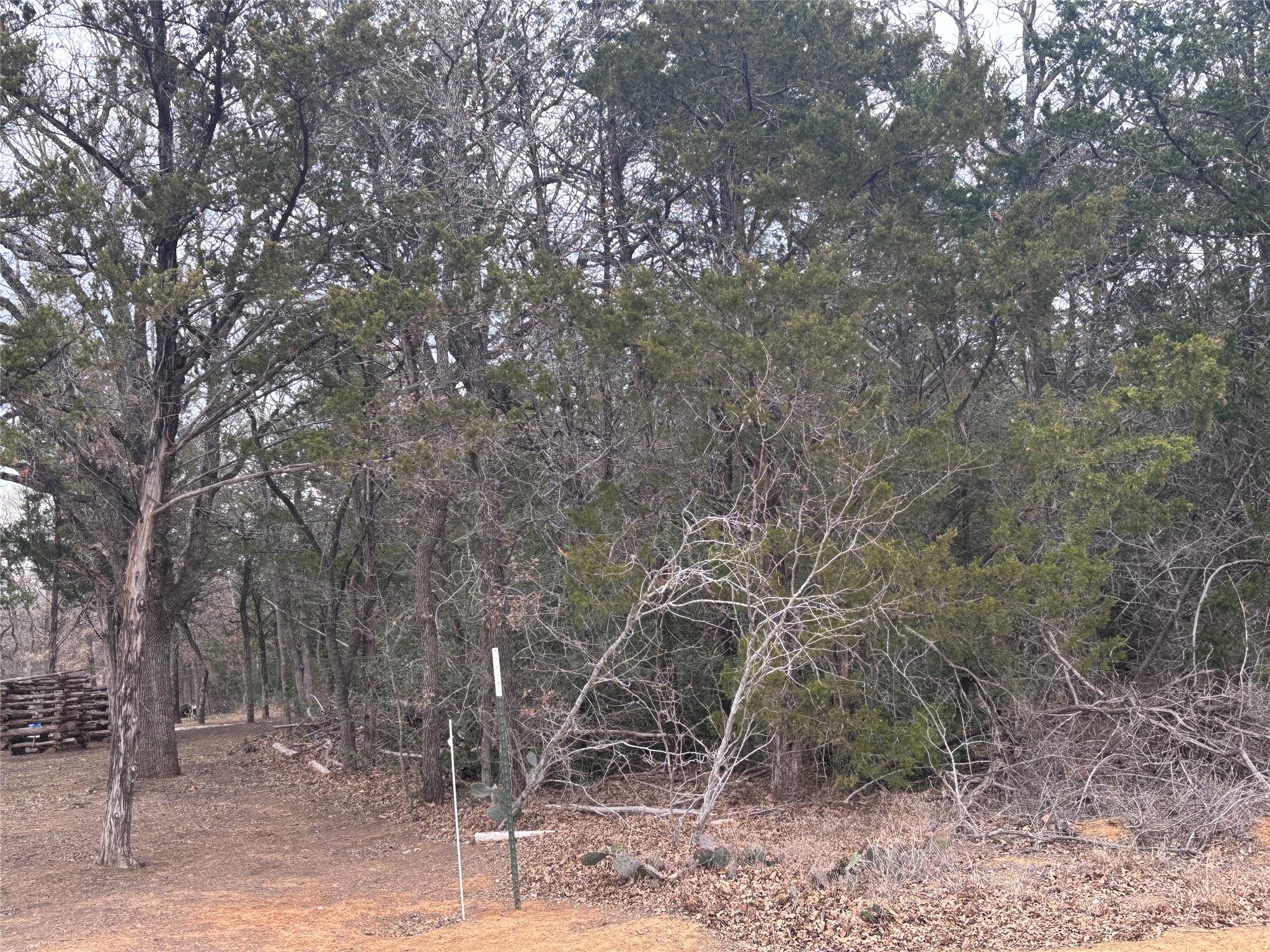 TBD Pearson Rd, Cedar Creek, TX 78616