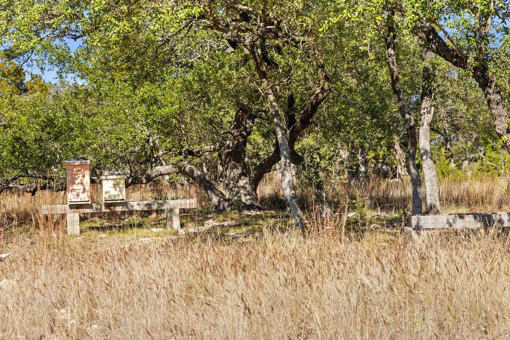 3550 Bell Springs Dr, Dripping Springs, TX 78620