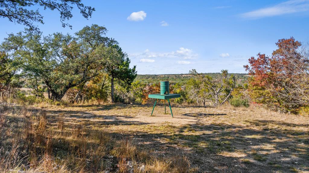 3550 Bell Springs Dr, Dripping Springs, TX 78620