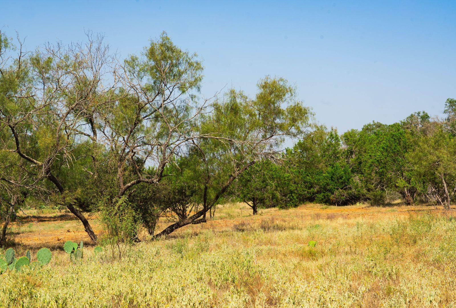 0000 Old Ferry Rd, Spicewood, TX 78669