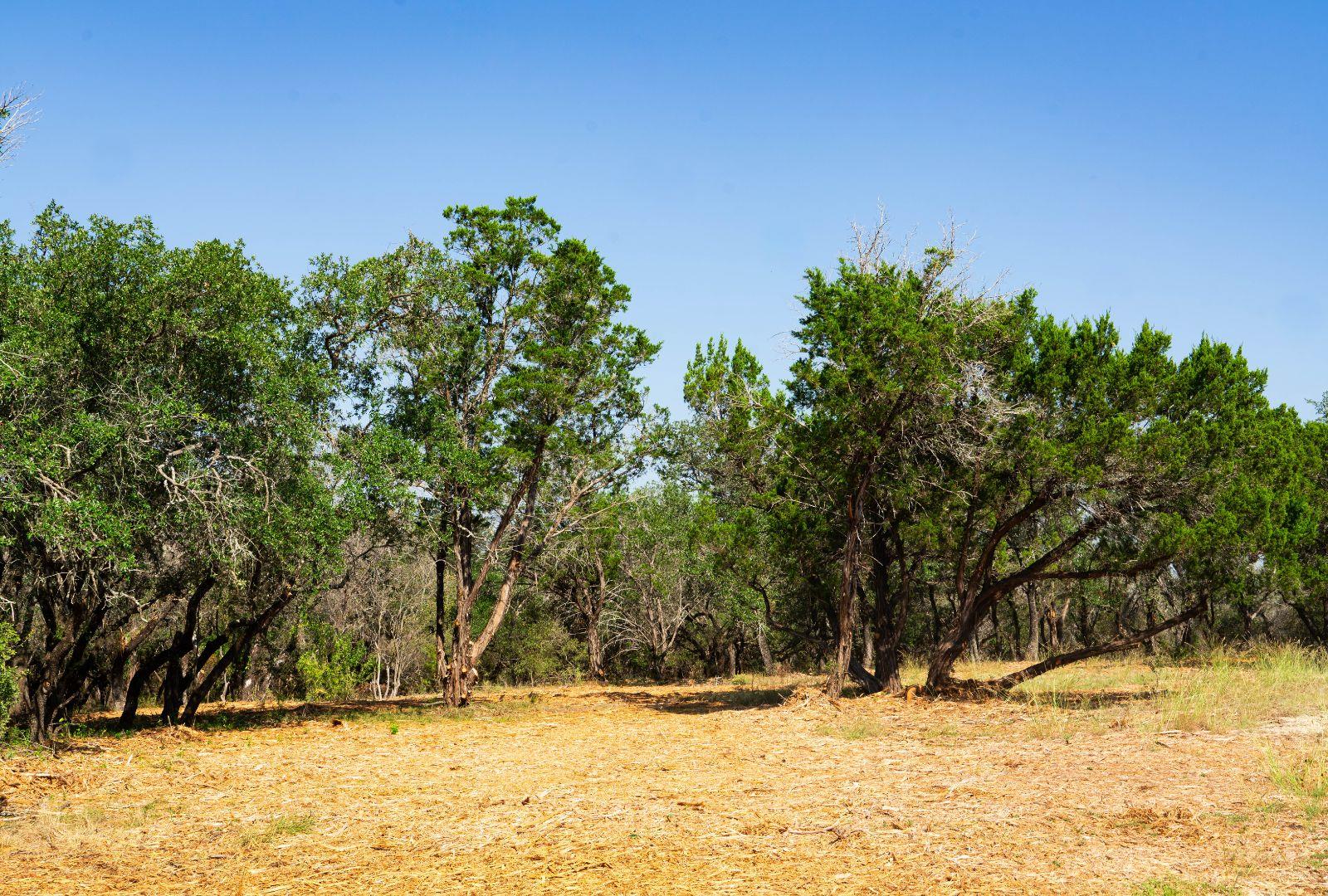 0000 Old Ferry Rd, Spicewood, TX 78669