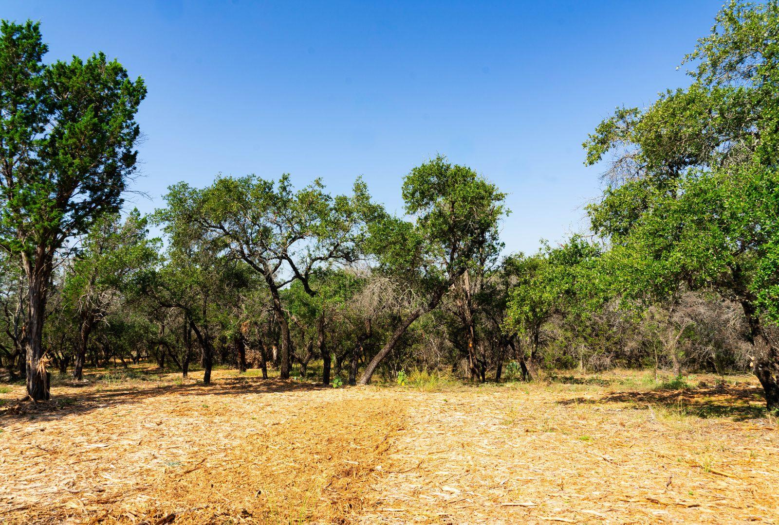 0000 Old Ferry Rd, Spicewood, TX 78669