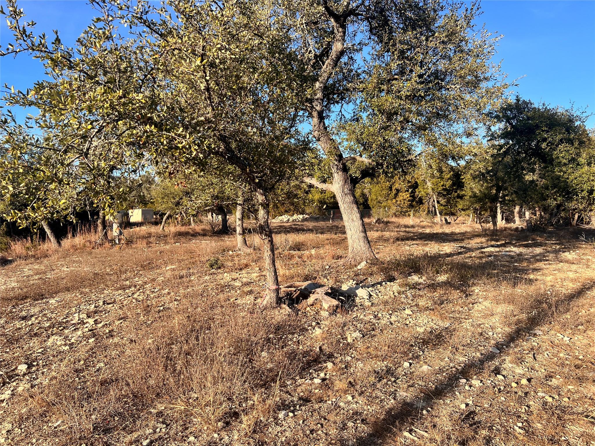 1008 Bell Springs Rd, Dripping Springs, TX 78620