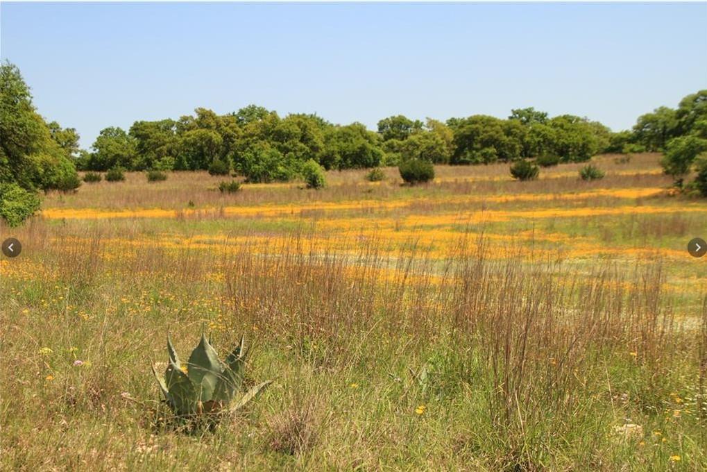 920 Crosswind Dr, Blanco, TX 78606