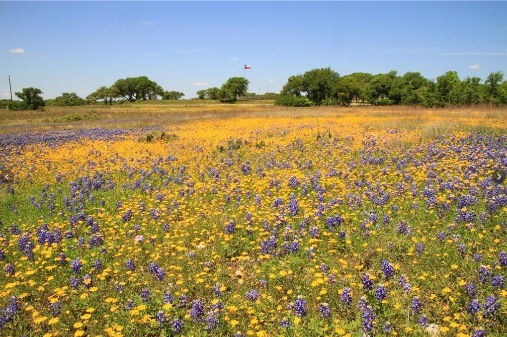 920 Crosswind Dr, Blanco, TX 78606