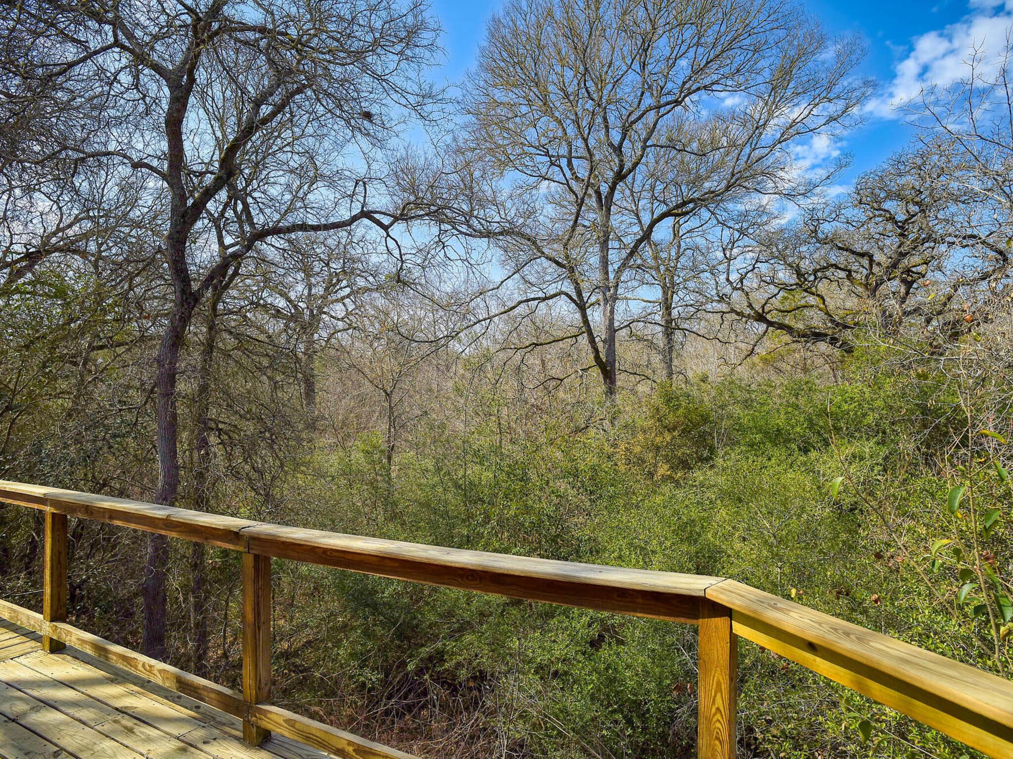 156 Clover Rd, Cedar Creek, TX 78612