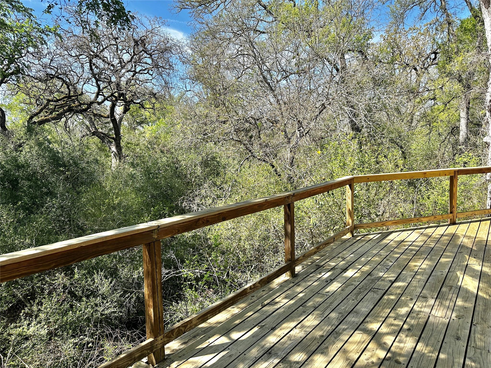 156 Clover Rd, Cedar Creek, TX 78612