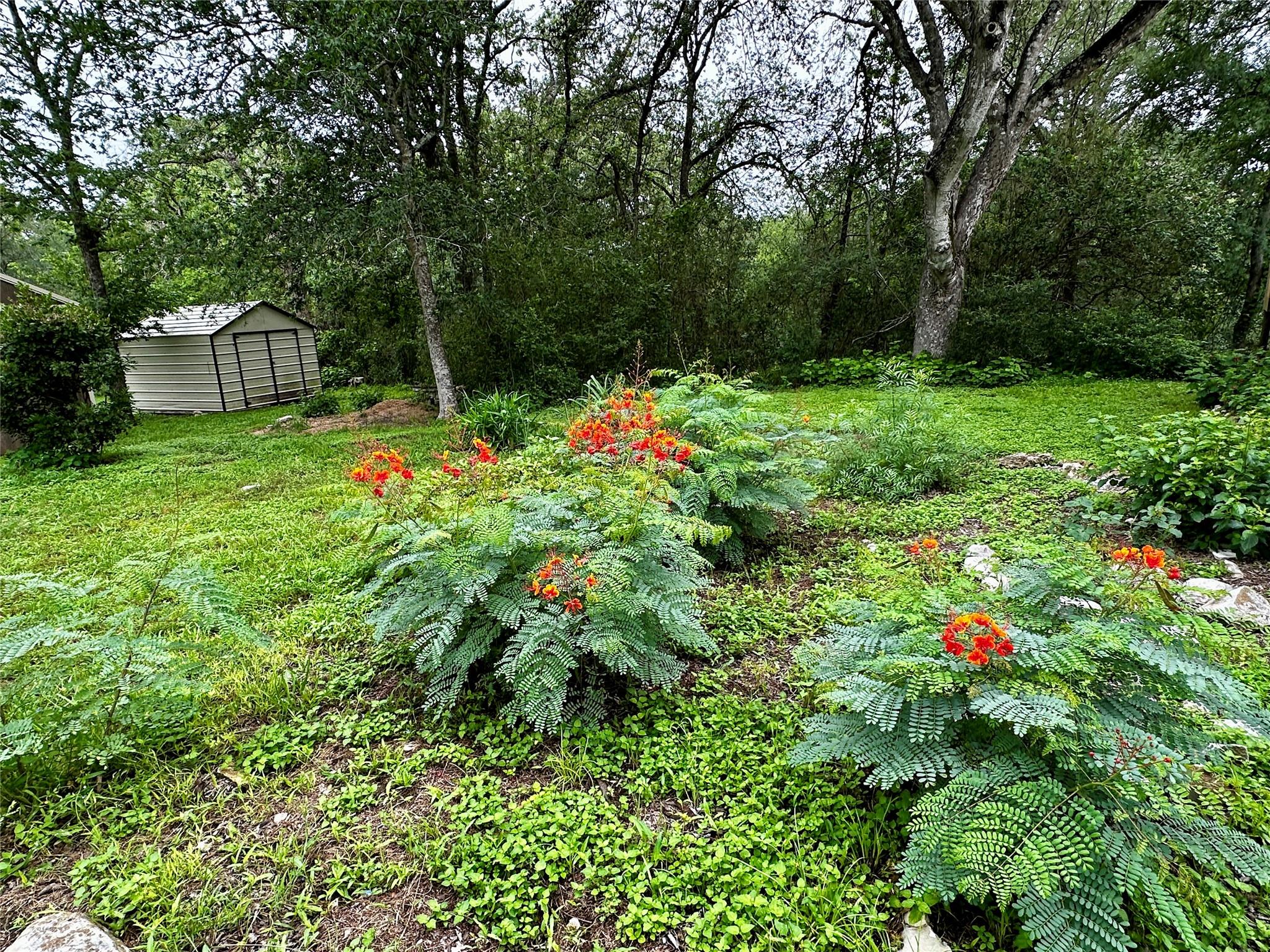 156 Clover Rd, Cedar Creek, TX 78612