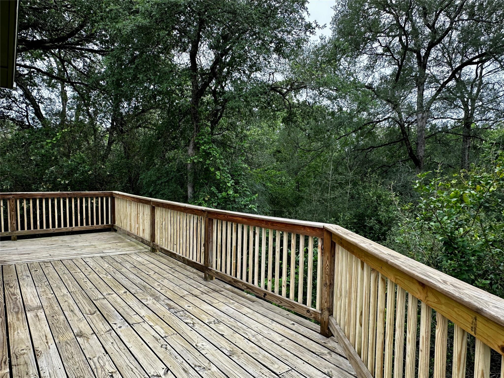 156 Clover Rd, Cedar Creek, TX 78612
