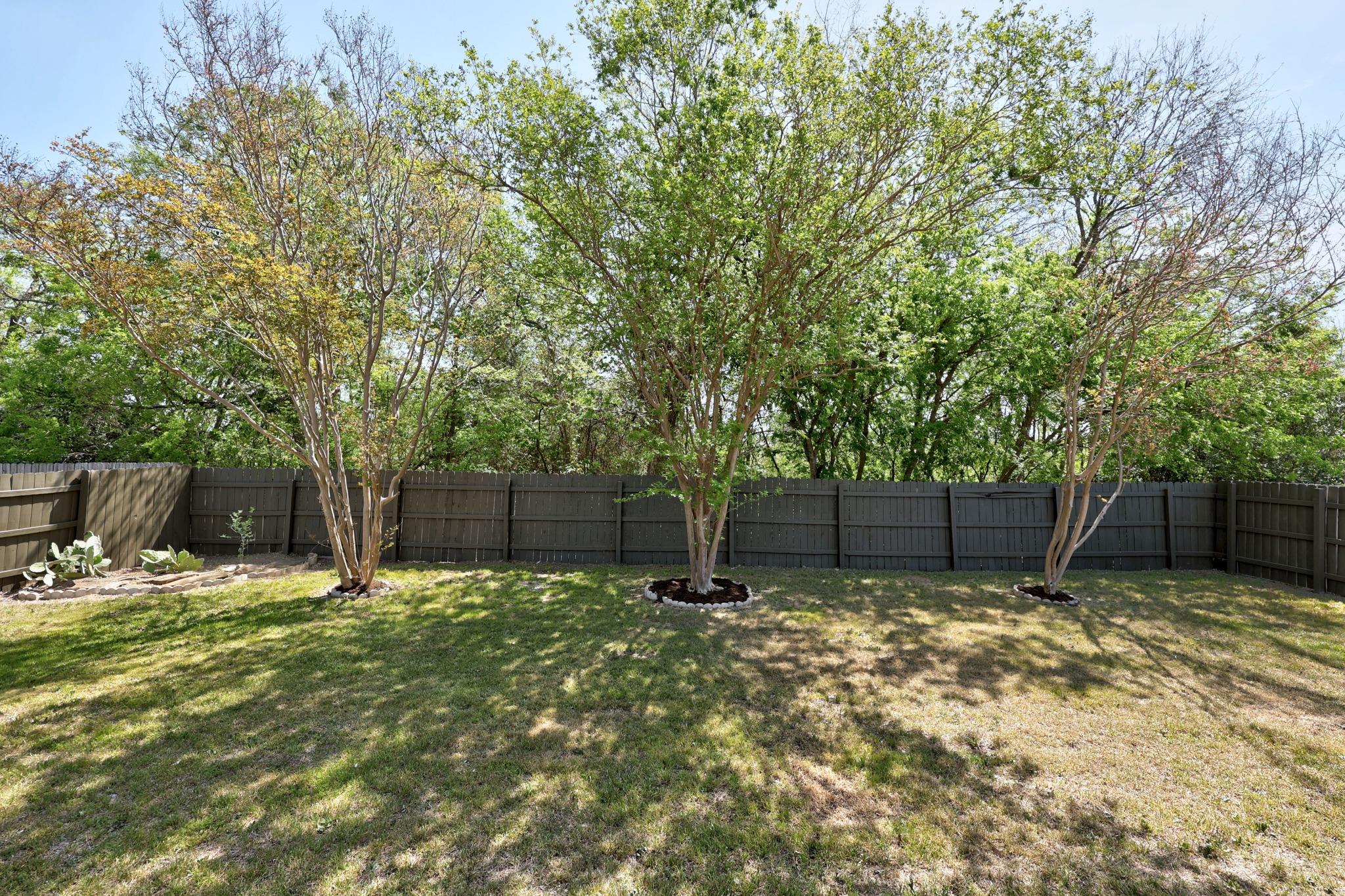 113 Plumbago Dr, Pflugerville, TX 78660