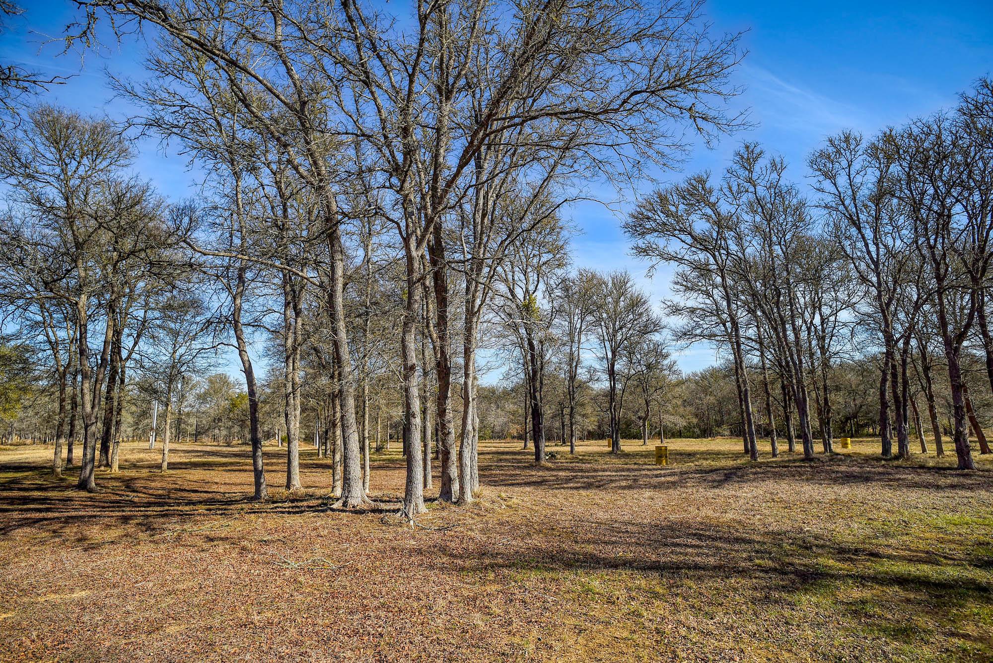 1675 Watterson Rd, Red Rock, TX 78662