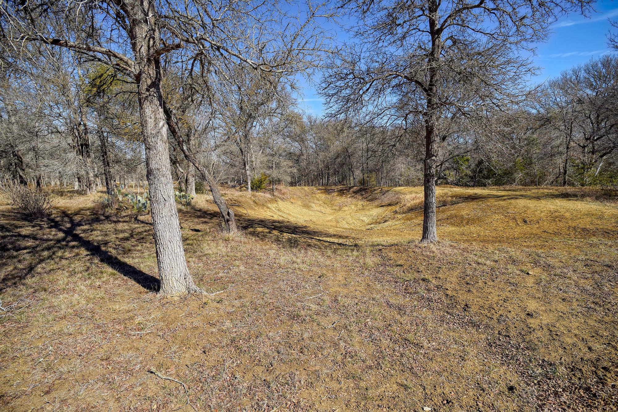 1675 Watterson Rd, Red Rock, TX 78662